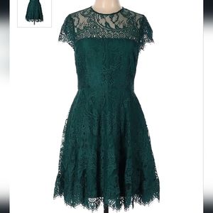 Gorgeous lace dark green dress NWOT